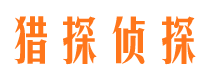 林州调查公司